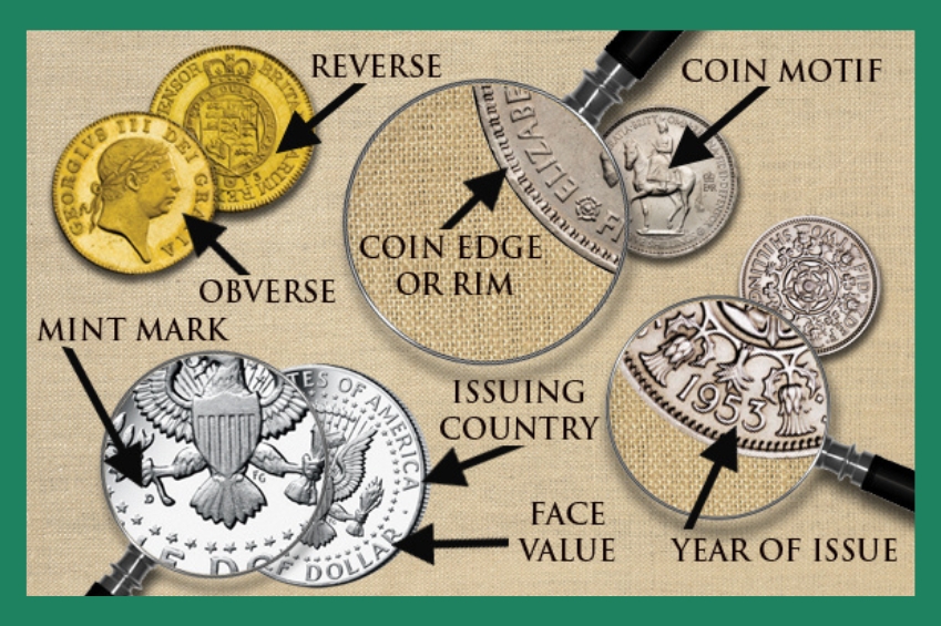 The Anatomy of Coins