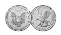   Silver_Eagles_2021_two_coin_set__1_