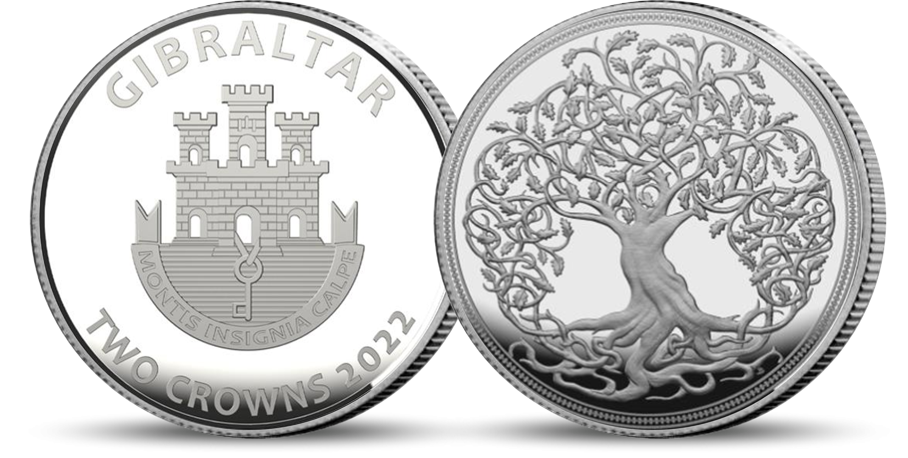 Tree_of_Life_2_oz_Silver_Coin
