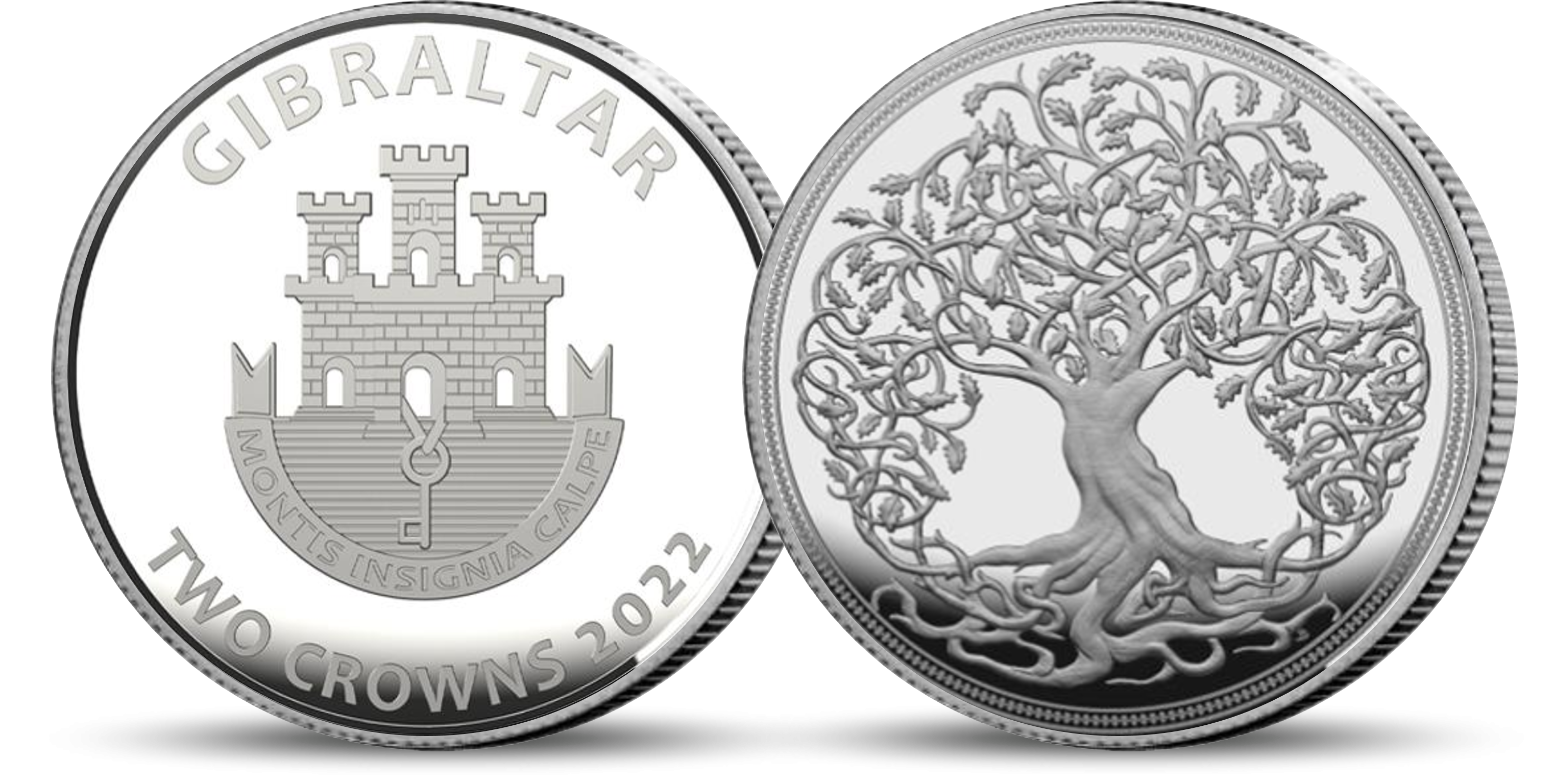 Tree_of_Life_2_oz_Silver_Coin Tree_of_Life_2_oz_Silver_Coin